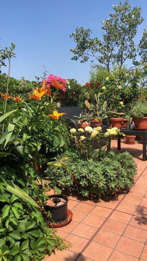 Il Giardino Sui Tetti Apartment Bologna Luaran gambar